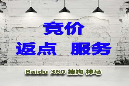 揭秘SEM推广竞价实战案例